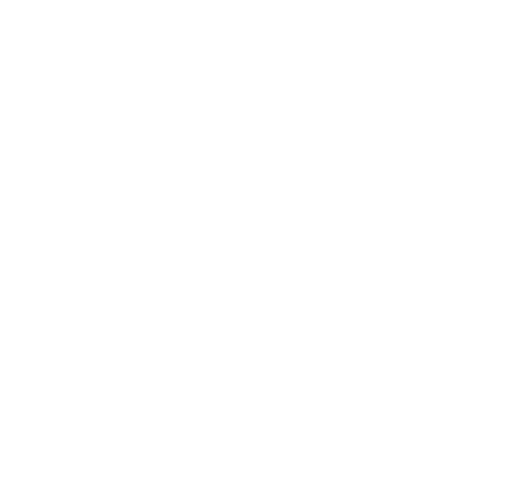 international-compliance-icon